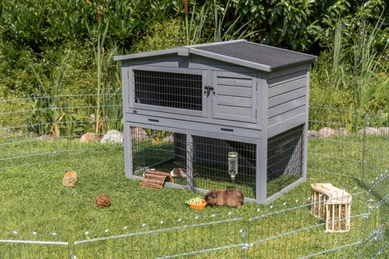 Preview: Kleintierstall mit Freilaufgehege